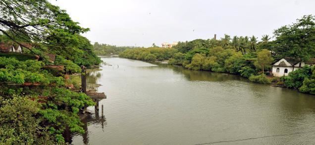 Kallayi (river) Kallai RiverOne of the charming rivers in Kerala Tourist Location