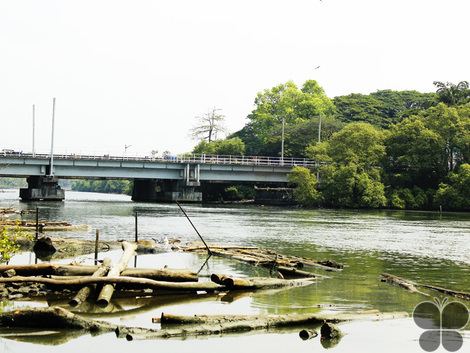 Kallayi (river) Kallai River Kozhikode Kerala