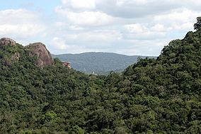 Kaludiya Pokuna Forest httpsuploadwikimediaorgwikipediacommonsthu