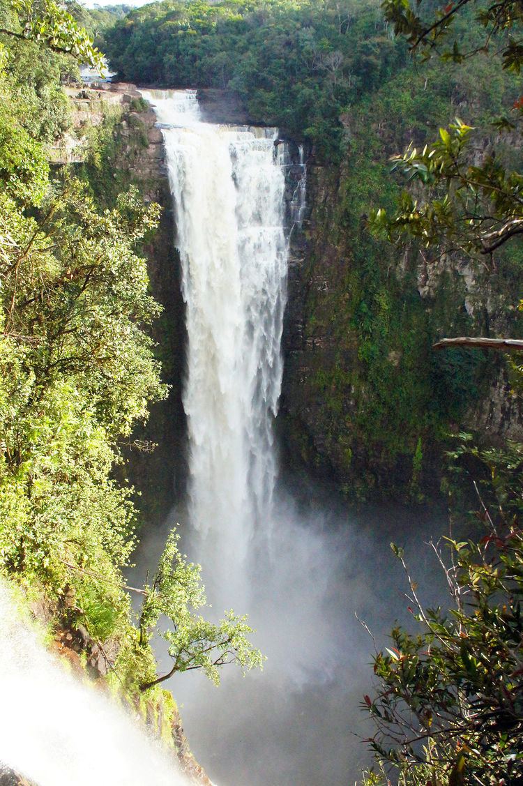Kamarang Great Falls httpsuploadwikimediaorgwikipediacommonsthu