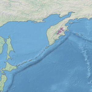 Kamchatka-Kurile taiga httpsuploadwikimediaorgwikipediacommonsthu