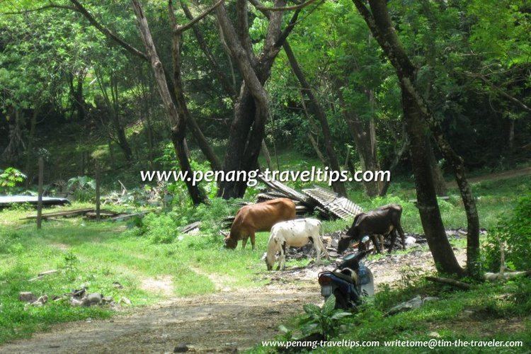 Kampung Buah Pala Kampung Buah Pala High Chaparral Penang Pulau Pinang