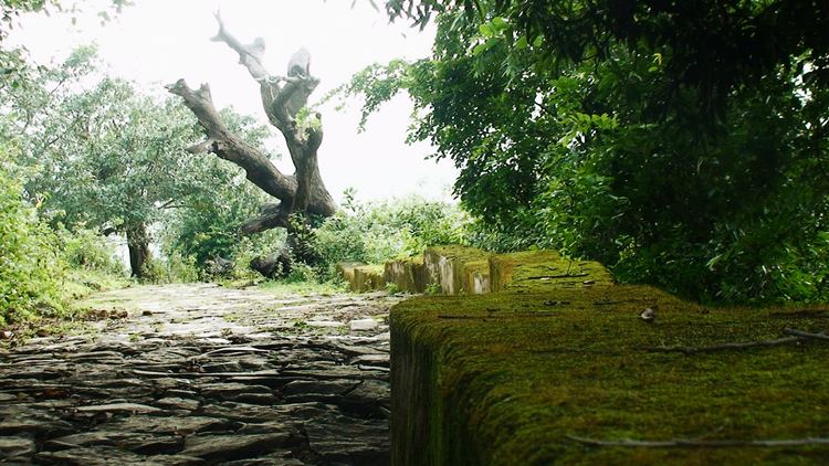 Kanakeshwar Kanakeshwar Forest in Alibaug History Reviews Photos HolidayIQcom