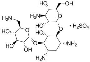 Kanamycin A Kanamycin sulfate mixture of Kanamycin A main component and