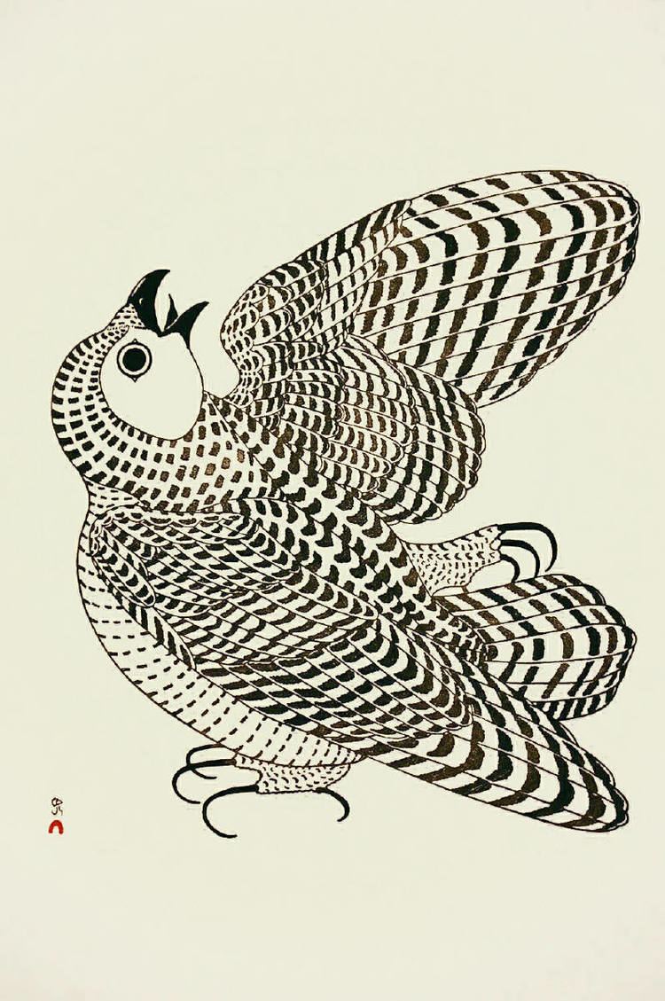 Kananginak Pootoogook Young Arctic Owl 1976 by Kananginak Pootoogook presented