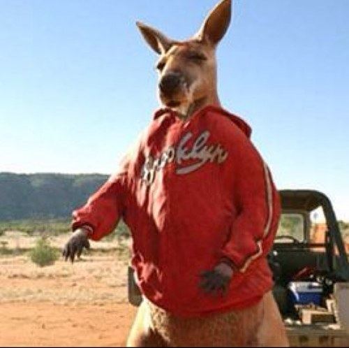Kangaroo Jack Kangaroo Jack Therealkangaroo Twitter