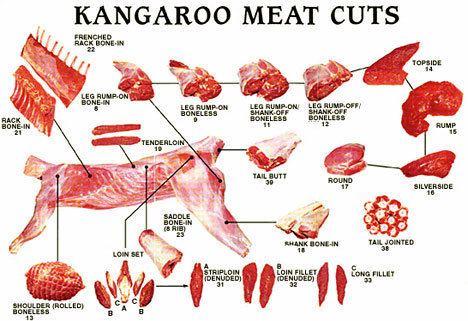 Kangaroo meat - Wikipedia