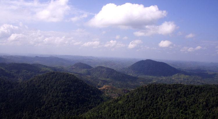 Kanneliya-Dediyagala-Nakiyadeniya Kanneliya Rain Forest the biodiversity hotspot Wildlife and