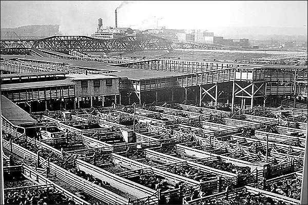 Kansas City Stockyards Memories of old stockyards remain
