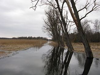Kanzach (river) httpsuploadwikimediaorgwikipediacommonsthu