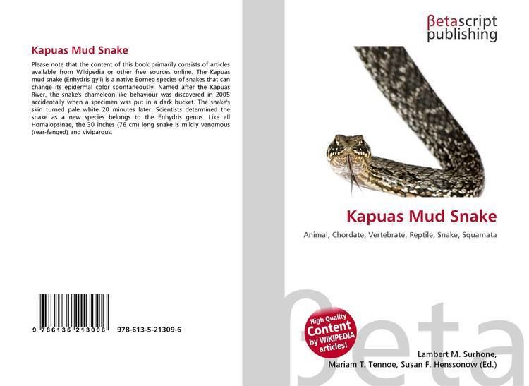 Kapuas mud snake httpsimagesourassetscomfullcover2000x9786