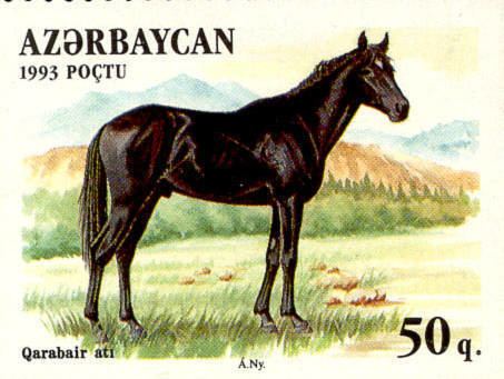 Karabair Karabair Horse
