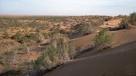 Karakum Desert Karakum Desert desert Turkmenistan Britannicacom