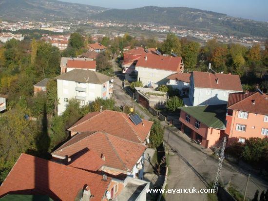 Karamusa, Çaycuma wwwkoylerimizinfoKoylerimizDbKoyKoyResimler