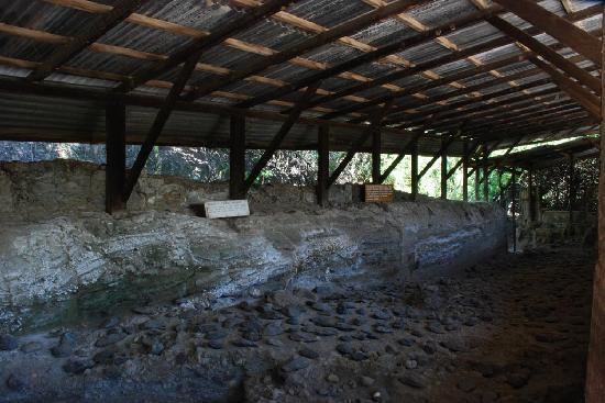 Kariandusi Kariandusi Archaeological Site Picture of Kariandusi Museum