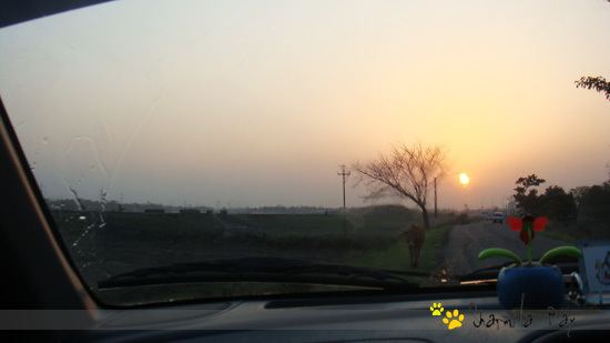 Karimganj Beautiful Landscapes of Karimganj