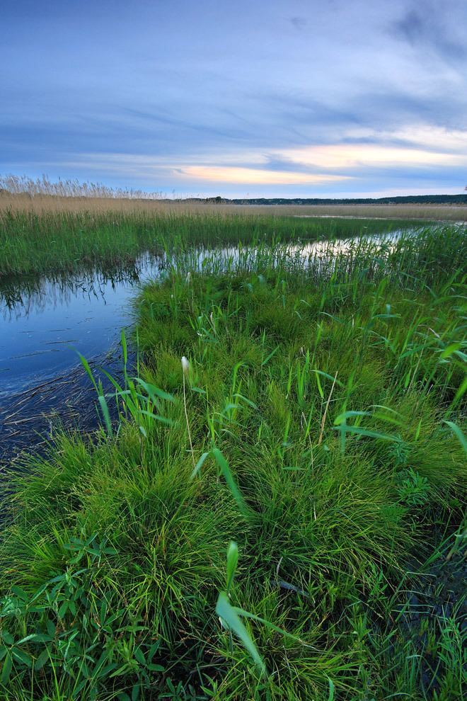 Karlskoga Beautiful Landscapes of Karlskoga