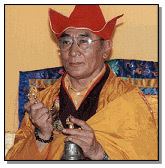 Karma Thinley Rinpoche wwwbuddhanetnetmastersimageskarmakagyu1jpg