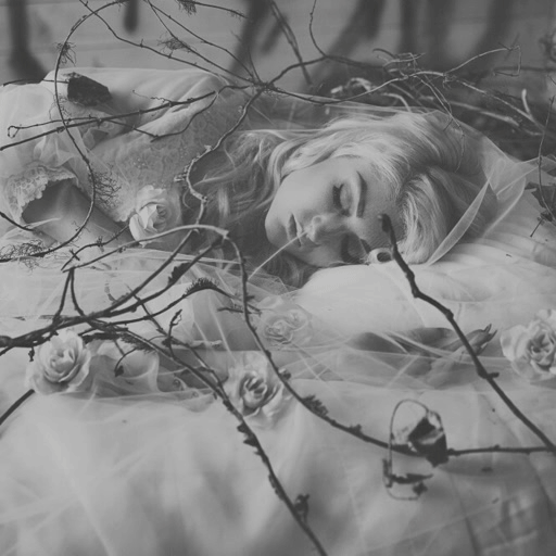 Karolina Olsson Karolina Olsson Sleeping Beauty of Okn Paranormal Amino