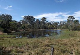 Karrabin, Queensland httpsuploadwikimediaorgwikipediacommonsthu