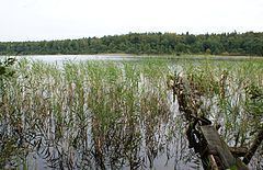 Karwowo Lake httpsuploadwikimediaorgwikipediacommonsthu