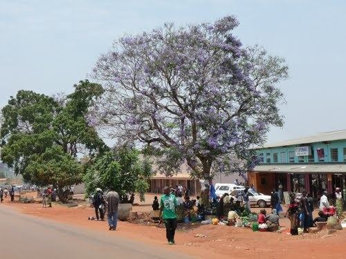 Kasama, Zambia httpsmw2googlecommwpanoramiophotosmedium