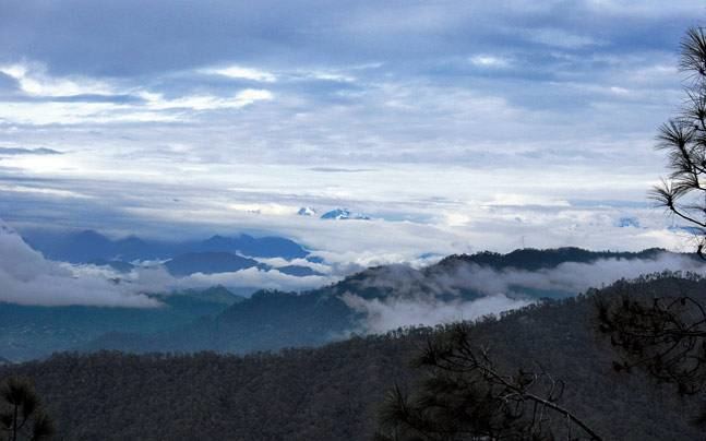 Kasar Devi Travelling offbeat Exploring Kasar Devi a hamlet on the hills