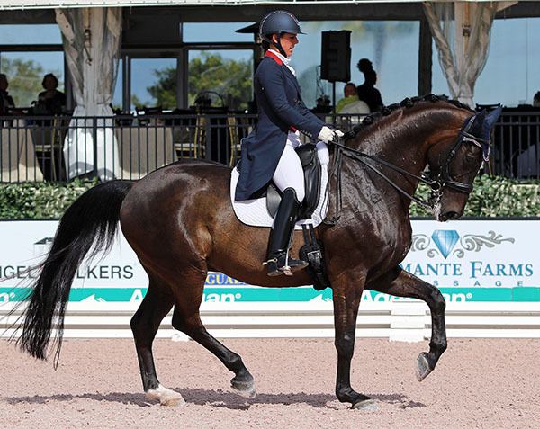 Kasey Perry-Glass Kasey PerryGlass amp Dublet Wellington CDI3 Grand Prix Result