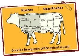 Poster showing which part of a cattle is Kosher and Non-Kosher.