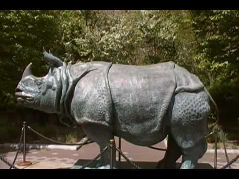 Katharine Lane Weems Katherine Lane Weems Rhino Statues 1935 YouTube