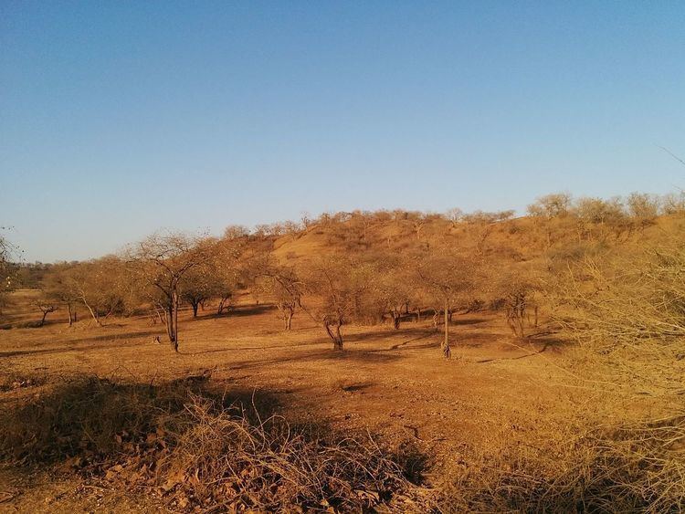Kathiawar-Gir dry deciduous forests
