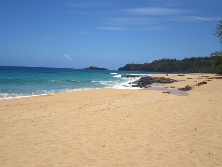 Kauapea Beach wwwkauaibeachscoopcomcmsnorthshoresecretkau