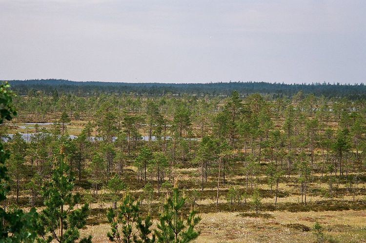 Kauhaneva–Pohjankangas National Park