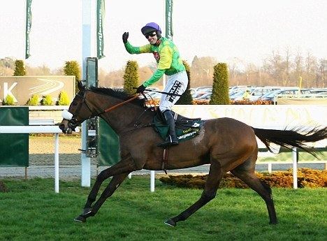 Kauto Star Kauto Star owner Smith lets rip in row with Nicholls Daily Mail Online
