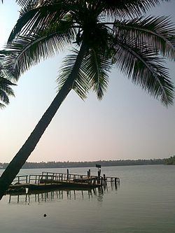 Kavvayi Backwaters httpsuploadwikimediaorgwikipediacommonsthu