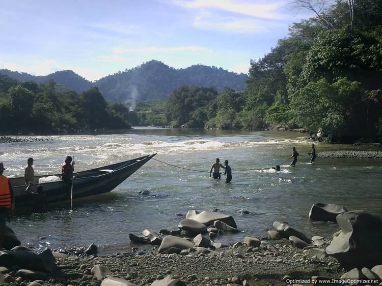 Kayan River wwwborneotourgigantcomKayanriverbankJPG