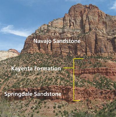 Kayenta Formation httpswwwnpsgovzionlearnnatureimagesSprgd