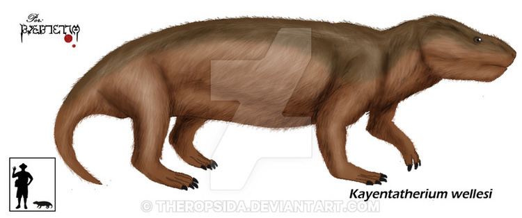 Kayentatherium img15deviantartnet5f60i201512200kayentath
