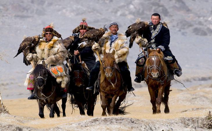 Kazakh horse Kazakh Horse Info Origin History Pictures Horse Breeds