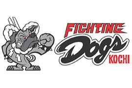 Kōchi Fighting Dogs KOCHI FIGHTING DOGS OFFICIAL WEB SITE