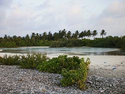 Kelaa (Haa Alif Atoll) httpsuploadwikimediaorgwikipediacommonsthu