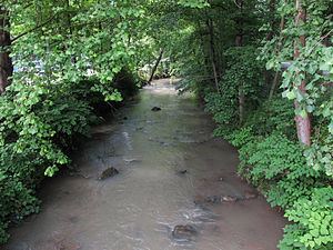 Kellys Creek (West Virginia) httpsuploadwikimediaorgwikipediacommonsthu