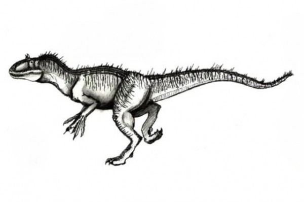 Kelmayisaurus Kelmayisaurus Pictures amp Facts The Dinosaur Database