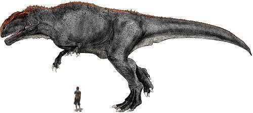 Kelmayisaurus The Forgotten Giant Dinosaurs Forum