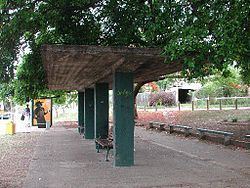 Kelvin Grove Fig Trees and Air Raid Shelter httpsuploadwikimediaorgwikipediacommonsthu