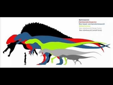 Kem Kem Beds New basal carcharodontosaurid discovered in the Kem Kem Beds YouTube
