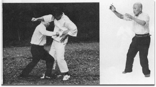 Kenichi Sawai History of Taikiken in Kyokushin Karate The Martial Way