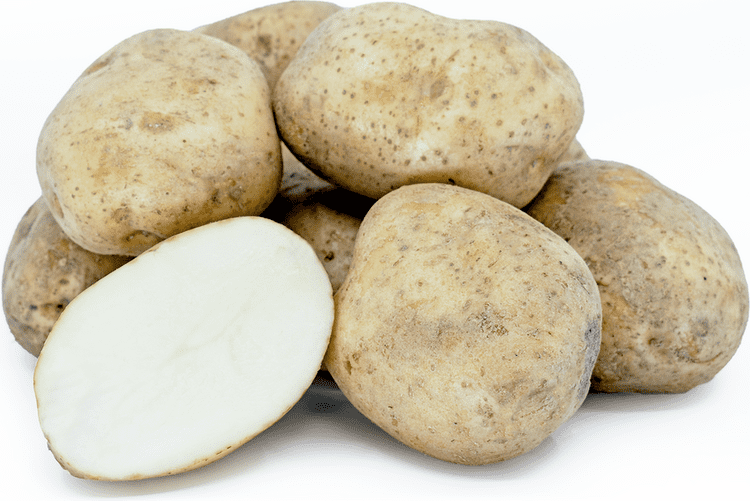 Kennebec (potato) wwwspecialtyproducecomsppics6421png
