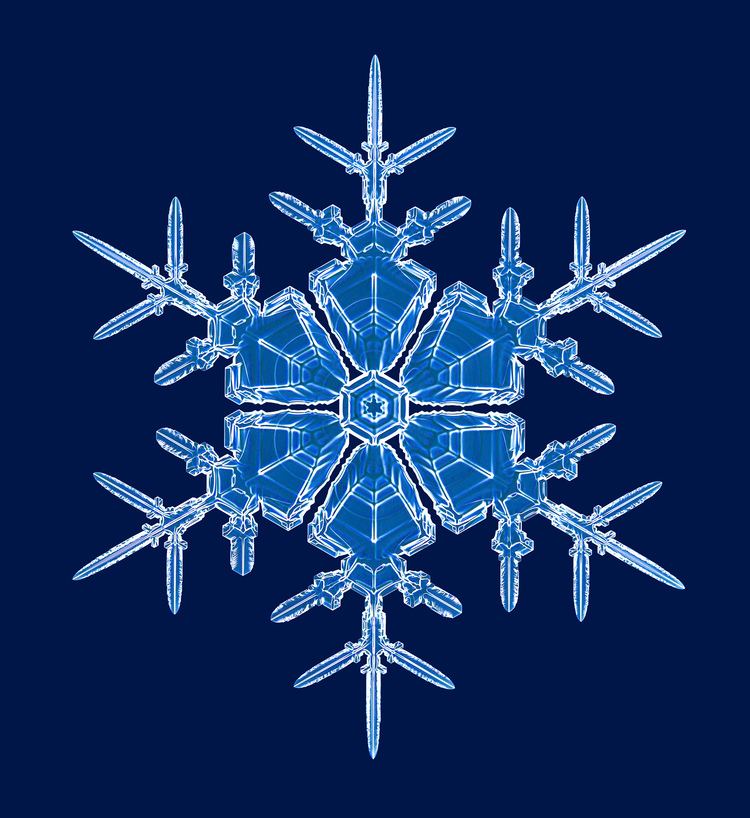Kenneth G. Libbrecht Kenneth Libbrecht Photographing LabMade Snowflakes