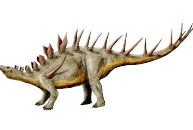 Kentrosaurus imagesmentalflosscomsitesdefaultfilesstyles